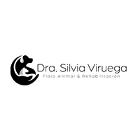 Vetesilvi